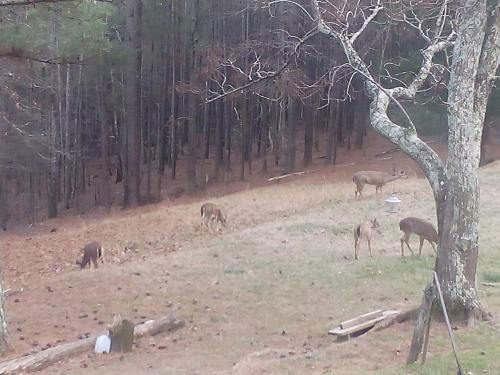 00a2e23a-209b-4070-9b6c-089e727a713b