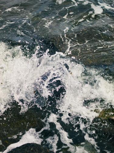 f3945980-6555-40ba-a055-17b8a529a065