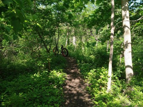 6708485c-f6a0-412a-827e-a325976bfbf1