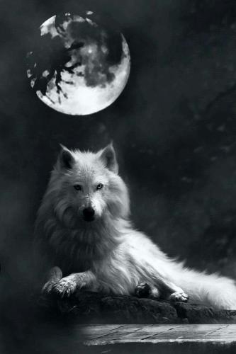 20:35:08 GMT-0500 (CDT)