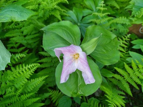 IMG_20220524_194239_HDR