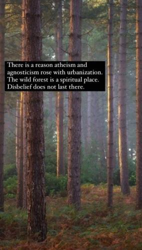 received_5148510435263139