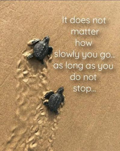 280330184_375212667991604_6361146844551473078_n