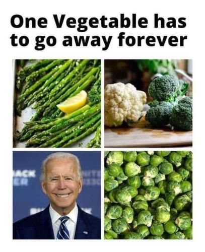 9e02ec4e-c939-4202-a2f8-eb619c2c4f16