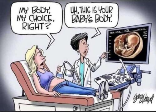 The helpless body of unborn life inside the Mother's body