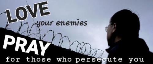 1fc15b3a-cb50-48ed-9e81-c8b391d6f464