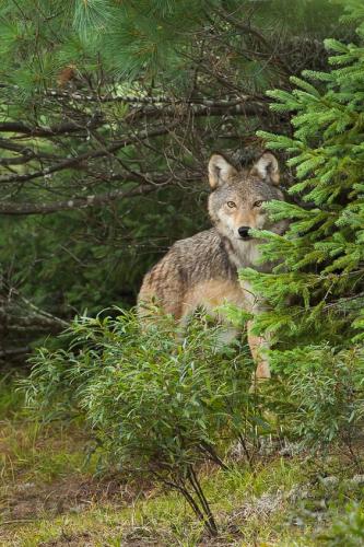 5253d68bc16be4d3424da36a7f21ac16