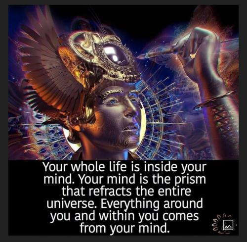 9790e441-d904-44e9-aee0-7355a0c48035