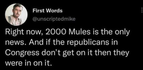 2000 mules11
