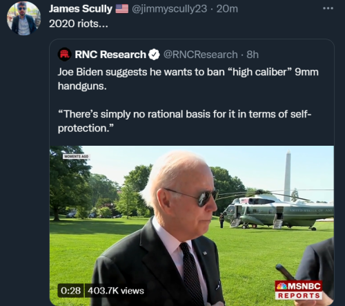 Biden Guns 1