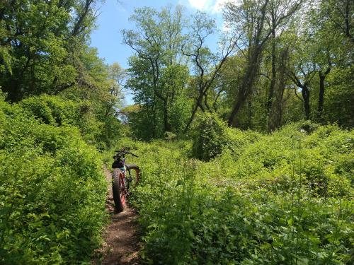 c294bedd-bcfd-43db-b6f9-a94fdefe6038