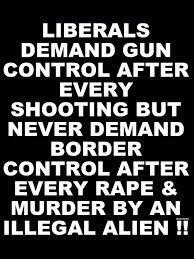 liberal_demand_gun_control