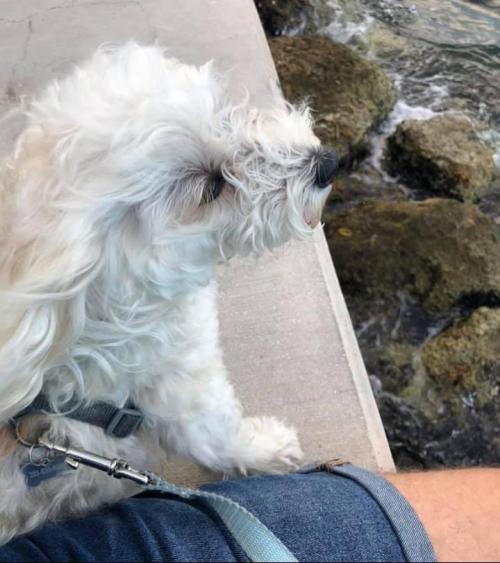 4f385a59-71d6-4fea-955b-82346e1c069a