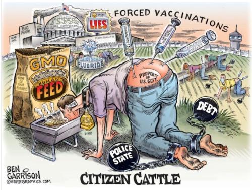 CitiZenCattle