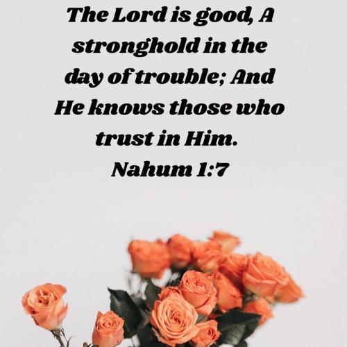 2efc4442-3817-45f6-9f10-3fdd9358bef0