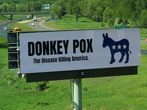 Donkey Pox