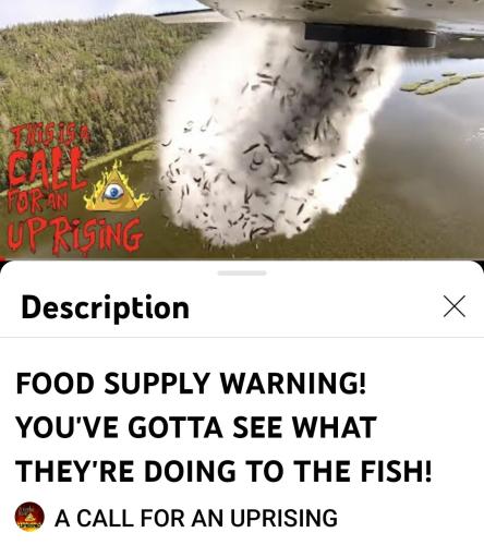 Screenshot_2022-05-19-07-13-36-441_com.google.android.youtube~2
