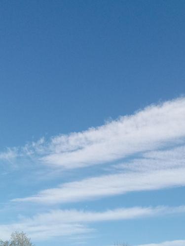 f80baef2-9a72-4288-8311-fcb6a84a2345