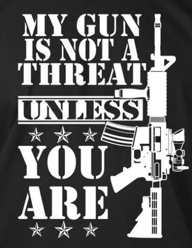 Guns 1