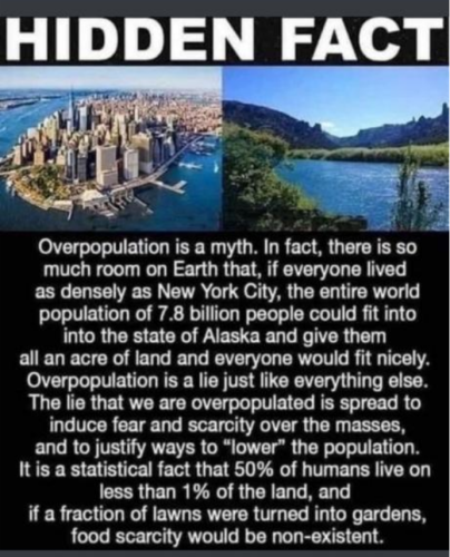 Screenshot_2022-05-28-16-08-46_kindlephoto-96113376