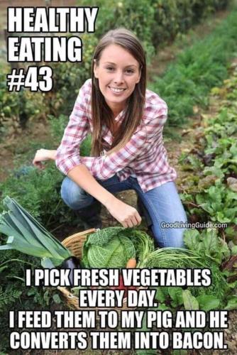 5e212ea0-0576-4213-ba5e-d077ab84a73a