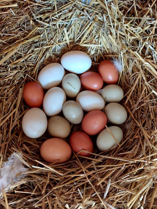 55117e5c-6f22-4909-bcbb-1b2f47c61271