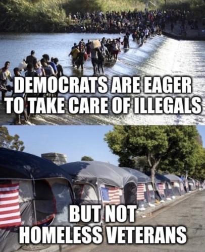Dems Illegals 1