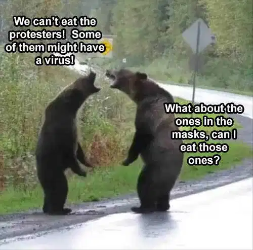 bears cant eat protesters