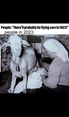 FB_IMG_1653490488286