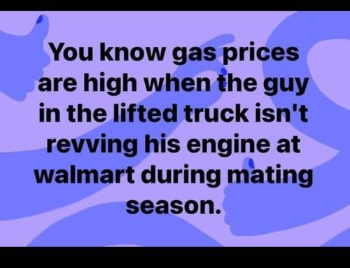 95e853ae-aeae-4e58-993c-ef57ba54ca15