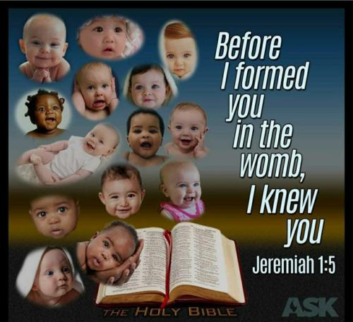 4ca6d142-9c47-4ade-9ab9-0d5682cda9ca