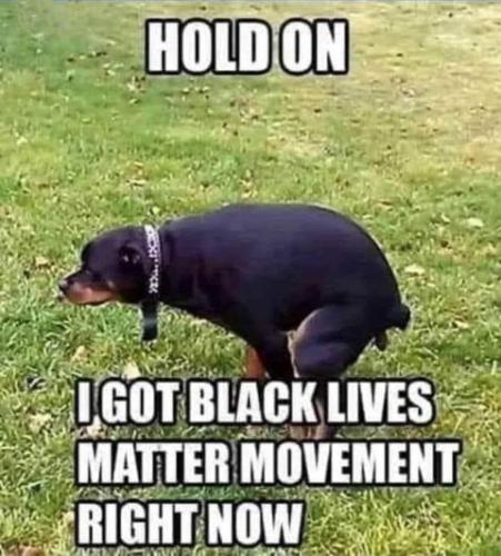 BLM64
