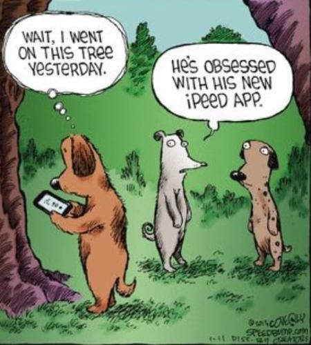 280843285_552820149533436_2231675219479954040_n