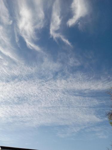 4c790b36-d9e2-45ea-b418-db8e0e464898