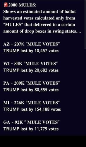 ac7c332a-2e58-437c-a716-d6623757b248