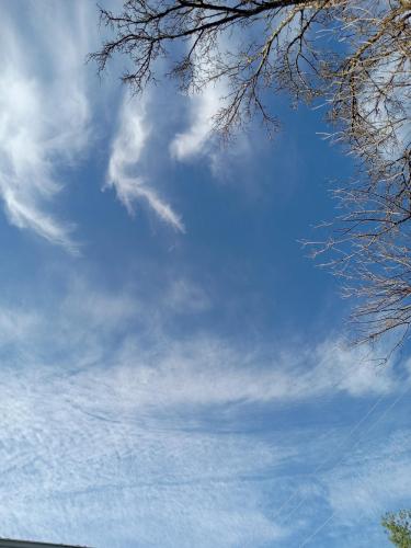 34f28253-a766-44fa-bc52-3f2be69df221