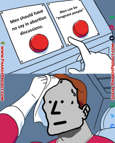 Daily Struggle - NPC Wojak -Men and Abortion - Web-Social