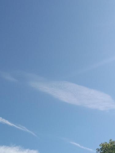 526abb4e-24a7-4f7d-b999-57c4b25c54be