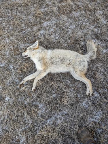 4bf1a44b-03f3-4032-9e9f-0120298fb820