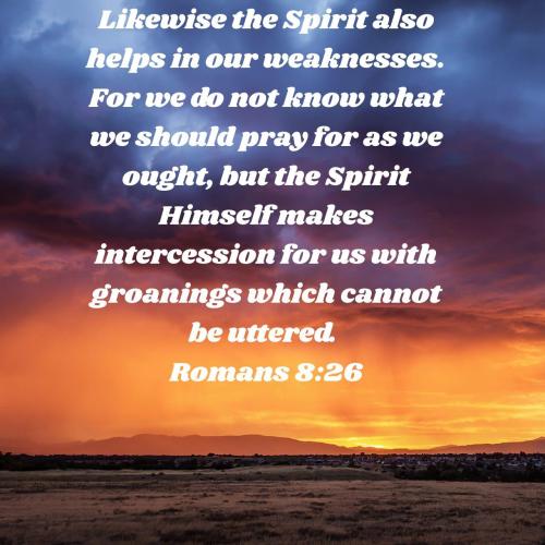 d6d2020d-ab5c-4bee-8523-ab61ff3f44d7