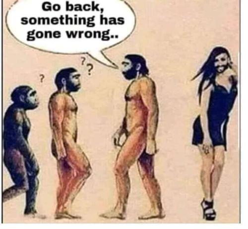 b09d46d0-0371-447c-bad3-7285872999d7