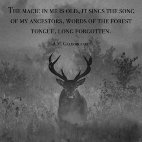 15c03f7f-845d-41bf-a473-79ee2e3164e2