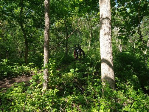 104797aa-fe91-44e8-ad21-f161101602b9