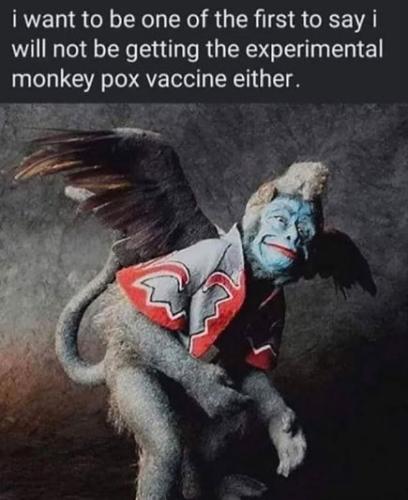 monkeypox04