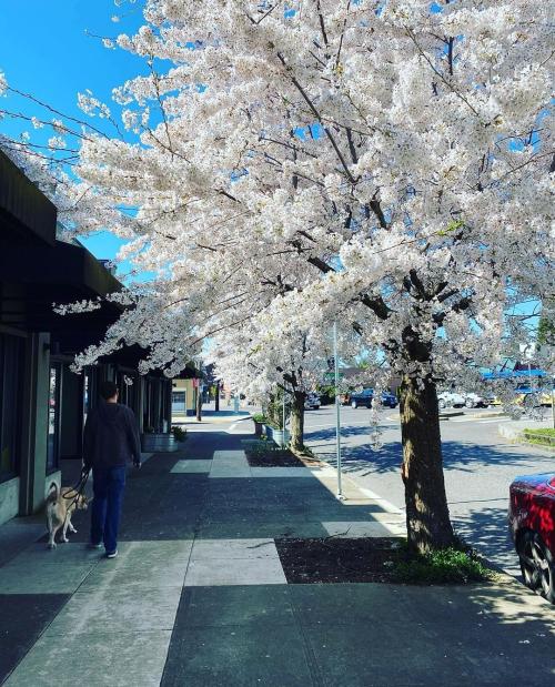 14:30:34 GMT+0100 (WAT)