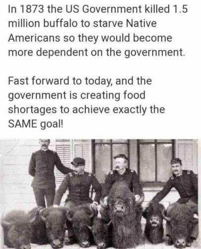 395612C2-EE17-477B-B3AF-909CE6FA8A20