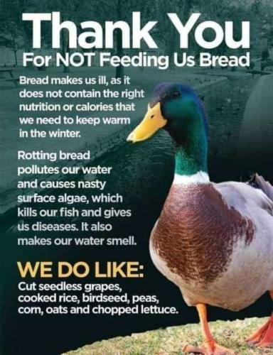 8d30505a-993f-4189-aa06-8d8a1440463c