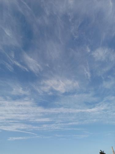 e484a88a-98ad-45f3-8dae-5d78526c859f