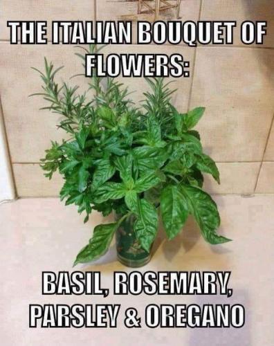 282610658_153560300567825_8552190073707725182_n