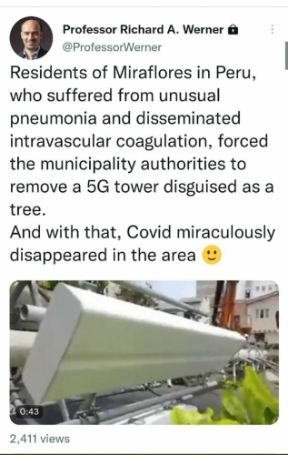 5g tower removed covid in peru